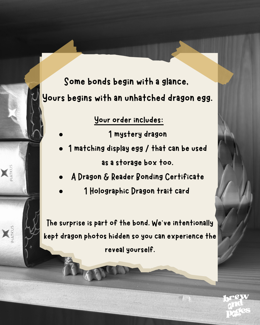 Bond With a Dragon – Mystery Dragon & Egg Bookshelf Décor